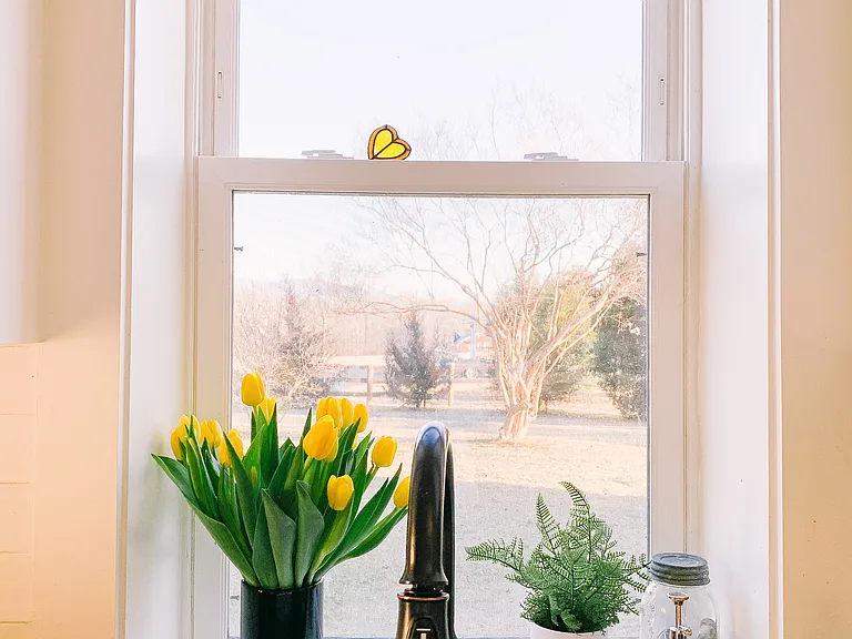 Kitchen Window
