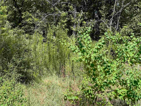 68 Robinson Rd, Greenbrier, AR 72058