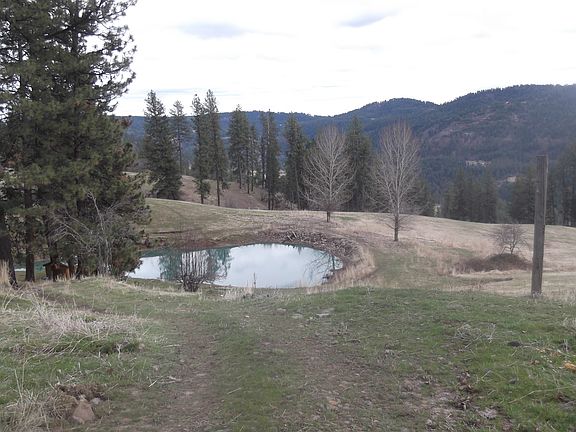 2nd image of 165 Horse Heaven Ln