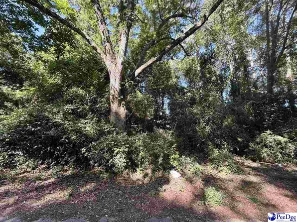 107 Lucas St, Chesterfield, SC 29709