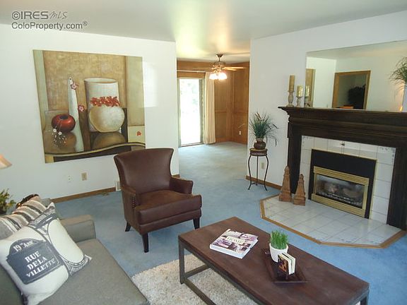 Gas Fireplace insert
