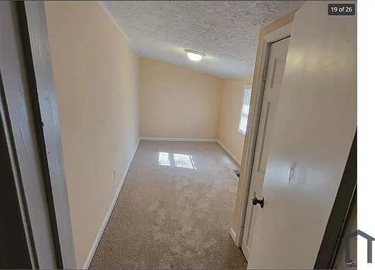 3552 Del Park — Photo 11