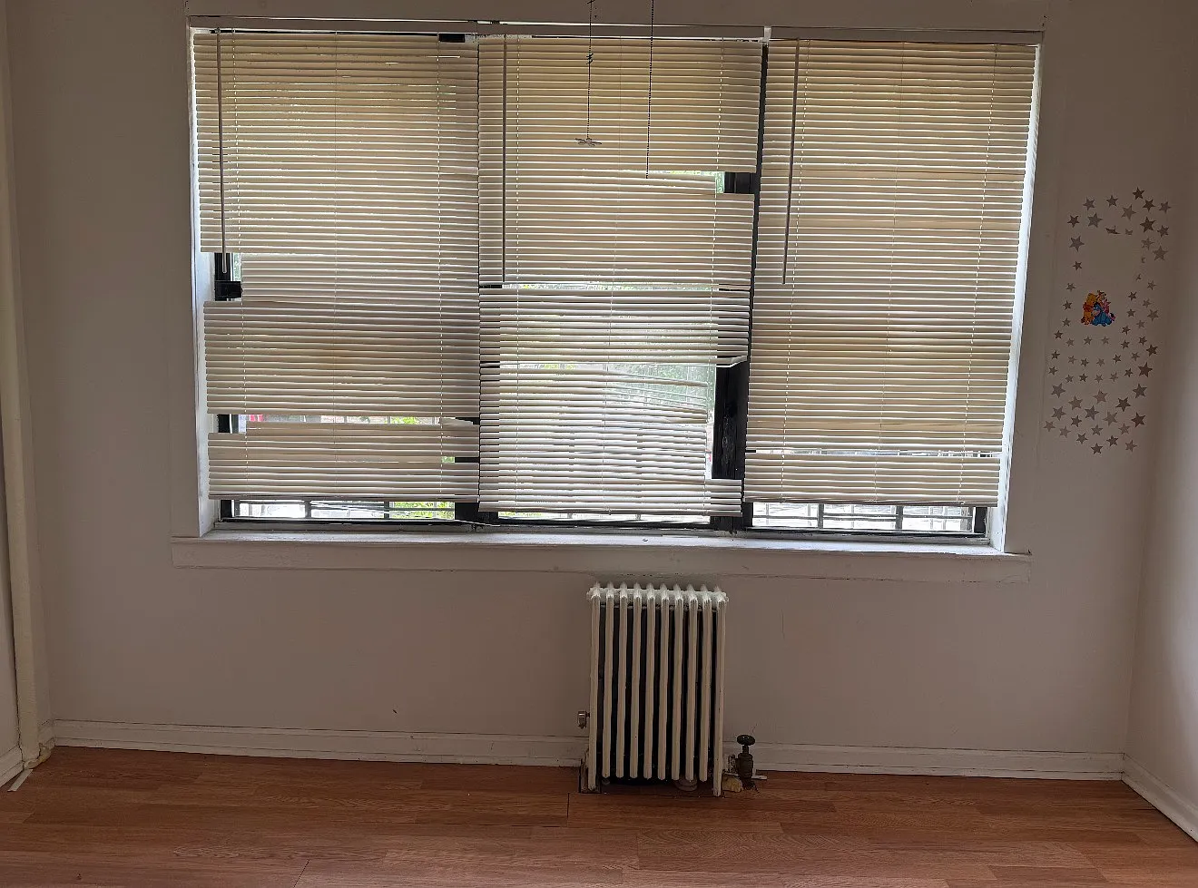 3 bed, $3,500 — Photo 3