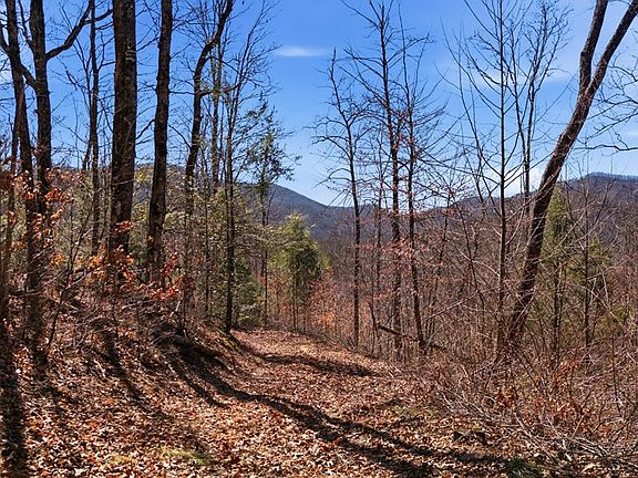 2nd image of 11800 Murphy Rd