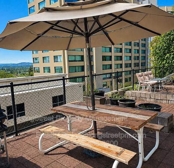 772 SW Broadway Dr #6 — Photo 3