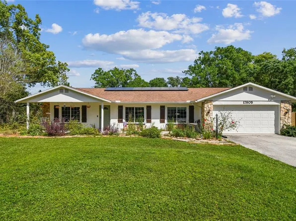 17605 Simmons Rd, Lutz, FL 33548