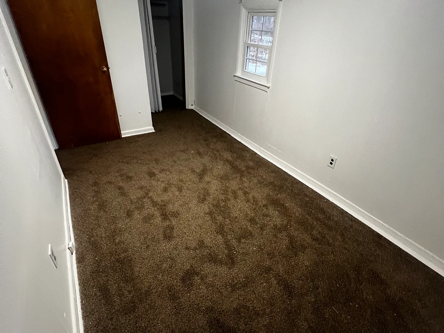 101 Honeywell Ln — Photo 4