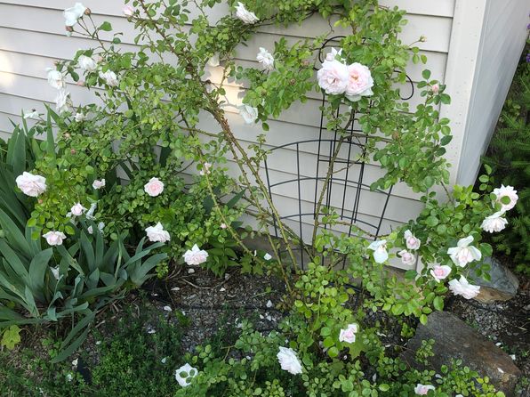 (undisclosed Address)