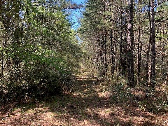 4th image of 49486 Highway 16