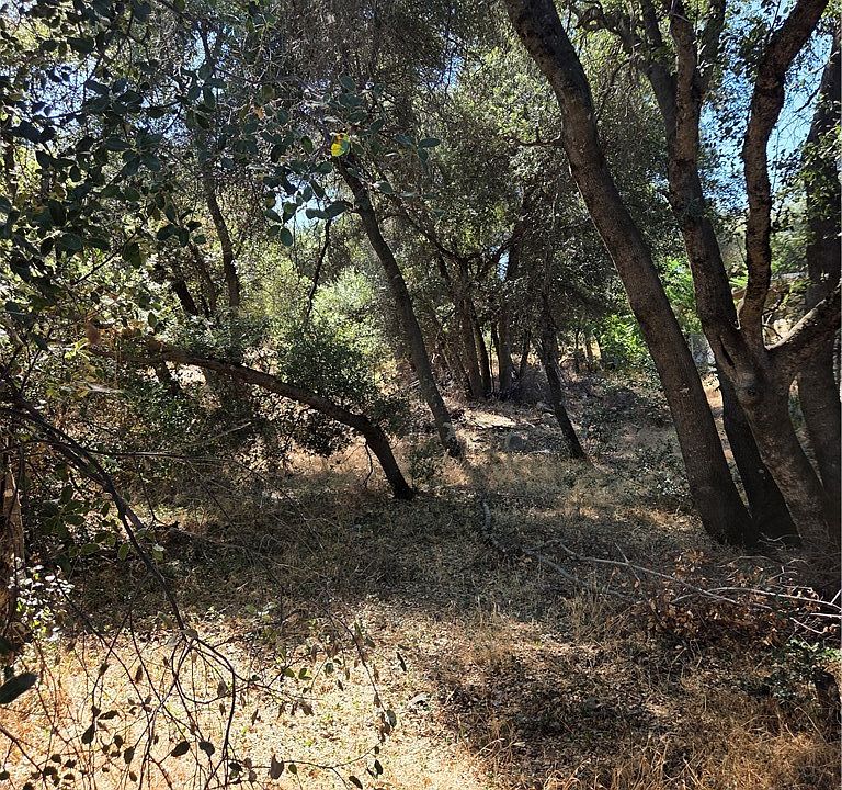 1st image of 13692 Fair Oak Rd Lot 21-24
