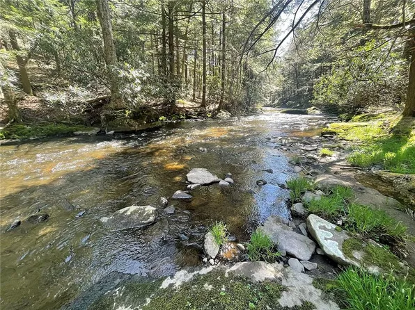 Lot 5, Big Woods Road, Harris, NY 12742