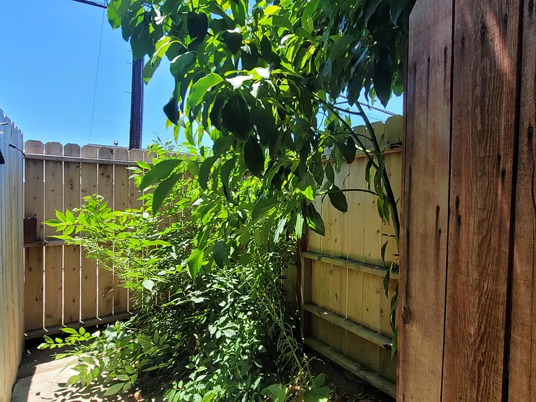 704 E Erna Ave #3 — Photo 15