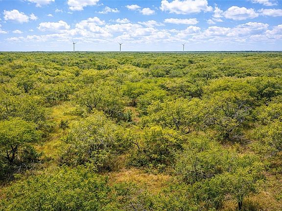 3rd image of Zinnia Rd