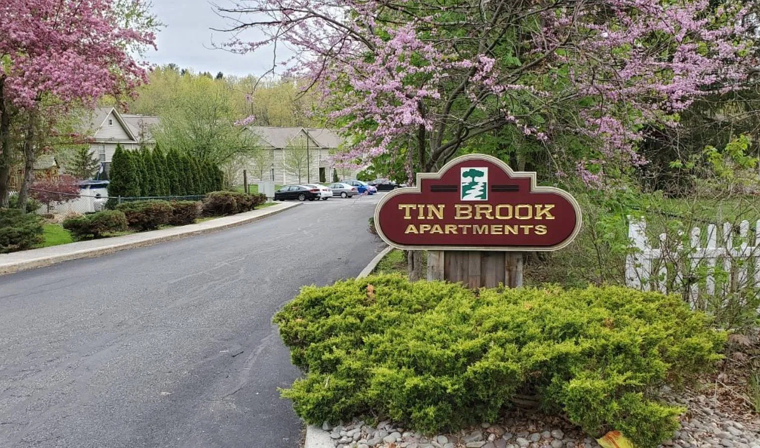 2 bed, 1.0 bath, 1000 sqft, $1,950 — Photo 2