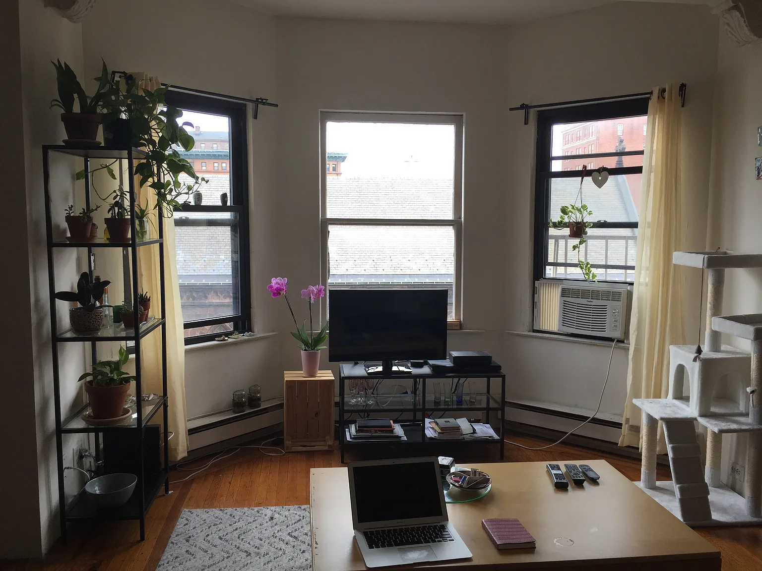 The Winona — Photo 3