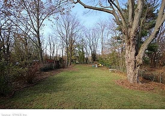 Back Yard II