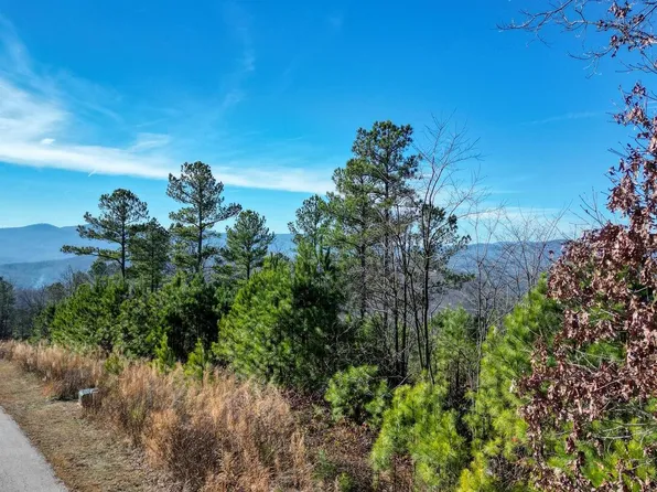 LOT 10 Mile High Ln, Blairsville, GA 30512