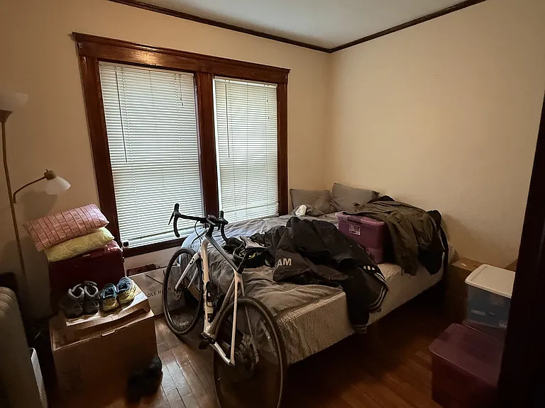 Lewis St — Photo 12