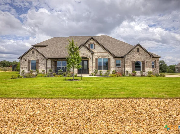 10696 Chestnut Warbler, New Braunfels, TX 78132