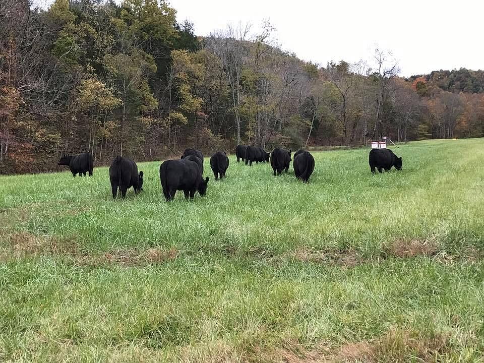 73rd image of this home