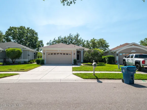 15038 Tamarind Loop, Spring Hill, FL 34609