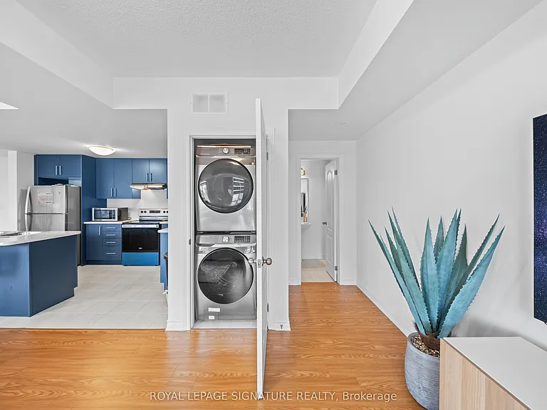 429 Dougall Ave — Photo 20