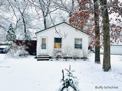 6716 Chapman Ave, Newaygo, MI, 49337