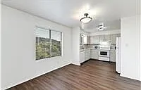 1709 Wild Basin Ledge #A — Photo 11