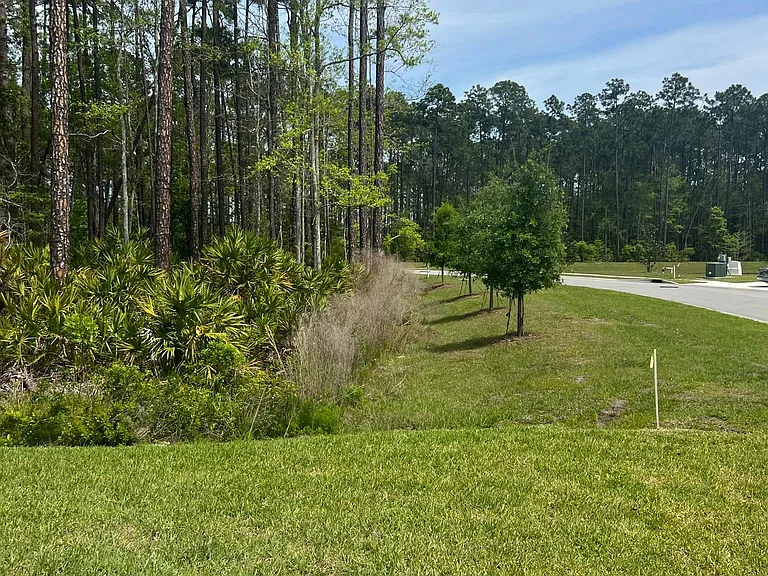 232 Mustard Hill Ct — Photo 84