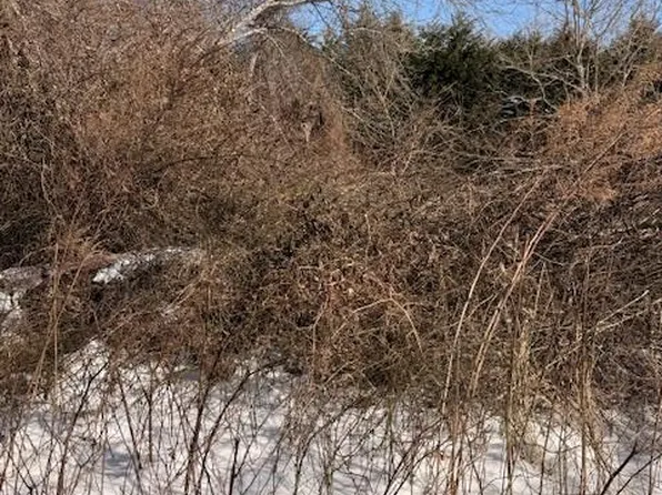 Woodland, Mastic Beach, NY 11967