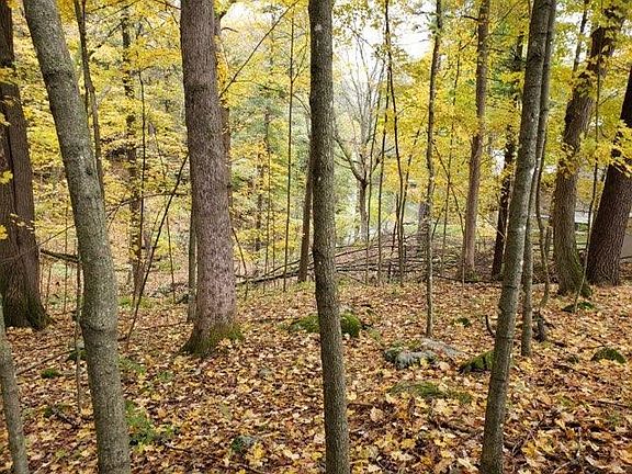 3rd image of LOT 49 E Redstone Ct