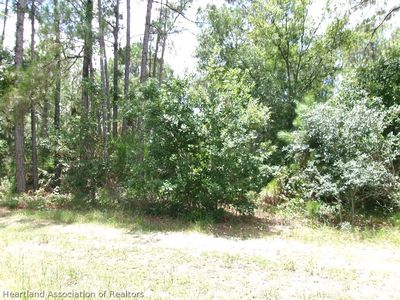 1810 S Griese Rd, Avon Park, FL, 33825