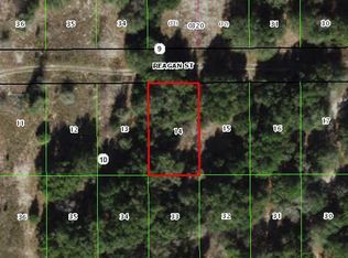 2405 Reagan St, Inverness, FL 34453