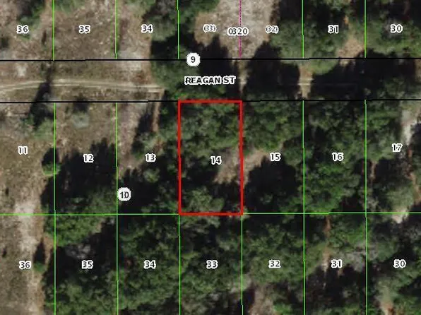 2405 Reagan St, Inverness, FL 34453