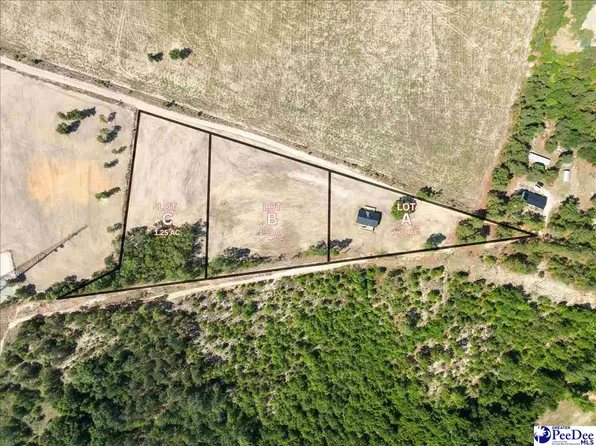 LOT Bailey Saw Mill Rd #B, Ruby, SC 29741