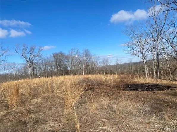 0 Riverwoods Bluff Trl, Saint Clair, MO 63077
