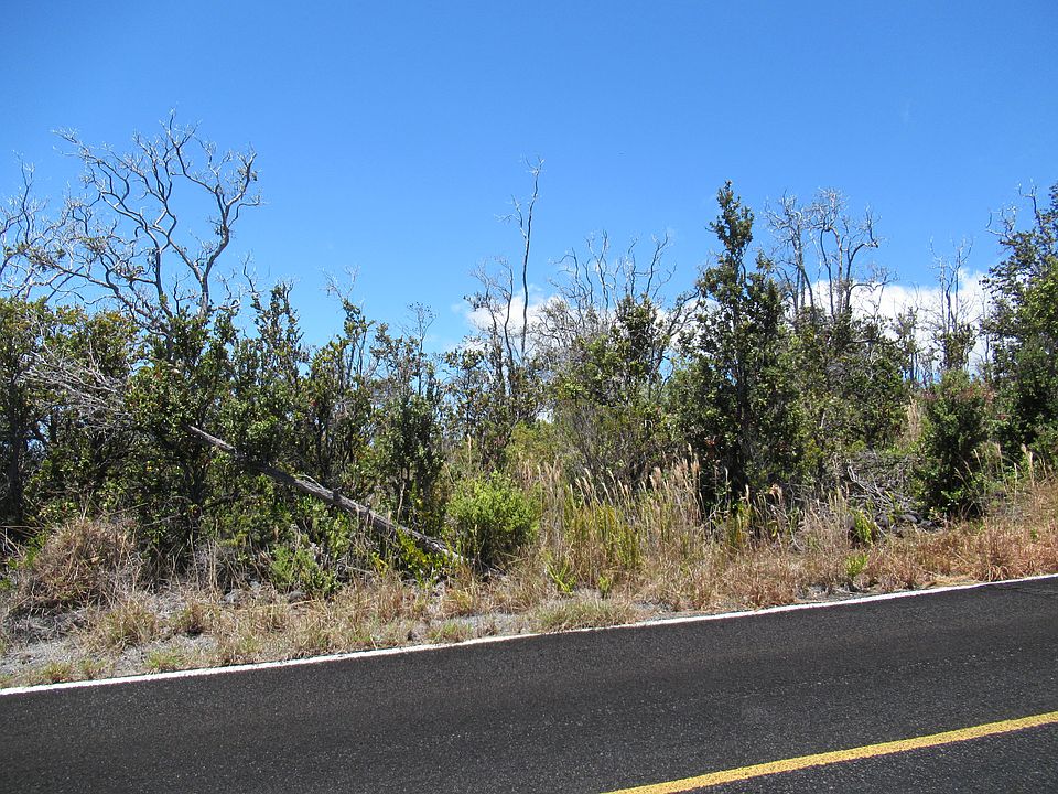 2nd image of Pineapple Pkwy Lot 20