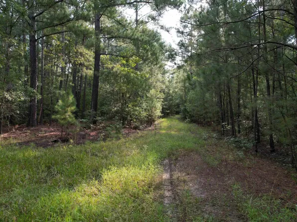 TBD Mackey Rd. #Highway 375, Greeleyville, SC 29056