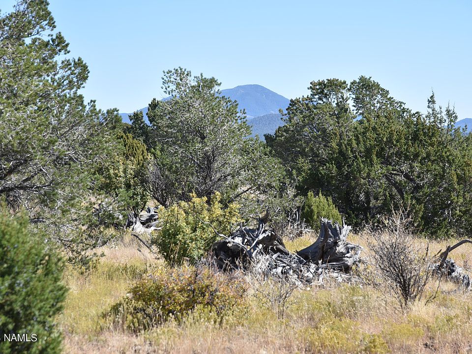 768 Mountain Cat Rd, Williams, AZ 86046 | Zillow