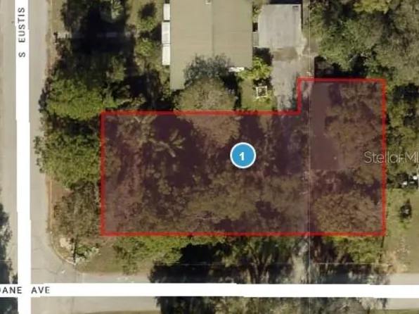 125 E Doane Ave, Eustis, FL 32726