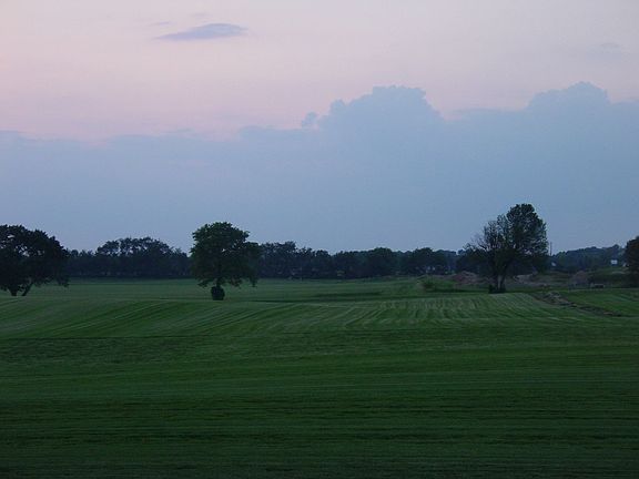 Picture Taken from Bedroom Window