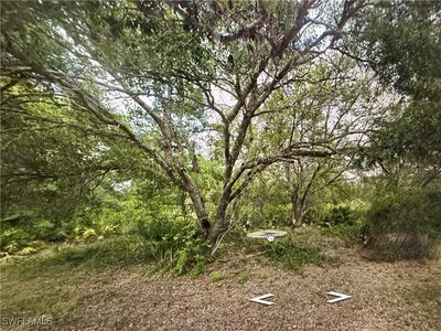 2306 Abbott Ave, Alva, FL, 33920