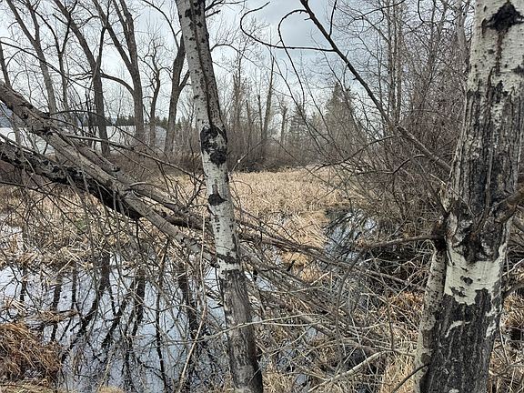 2nd image of Nhn Two Moons Rd