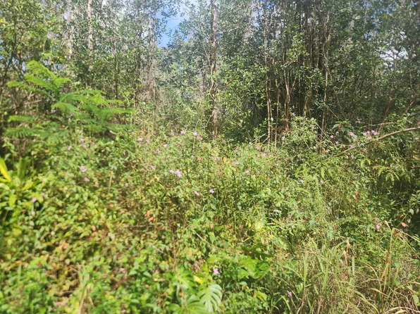 Aloha Dr Lot 3, Kurtistown, HI 96760
