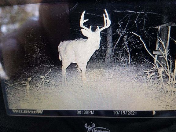 5th image of 40th St