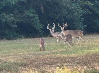 Fm 805, Jefferson, TX 75657