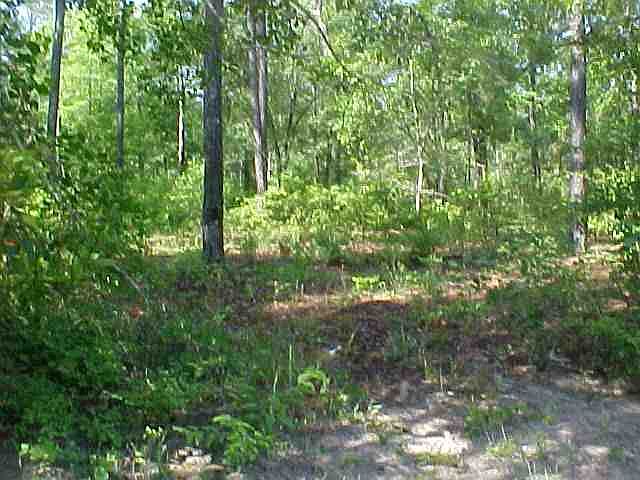 2nd image of 0 Hugo Rd.