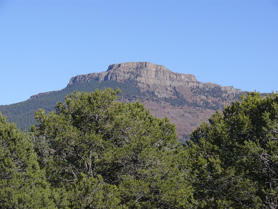 1st image of 7662 Pass Creek Ct Unit 1