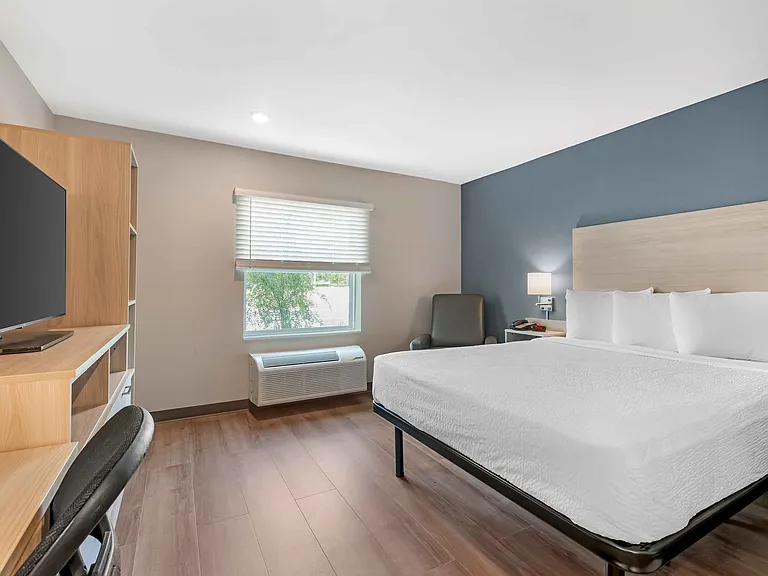 Studio Suite - 1 Queen Bed