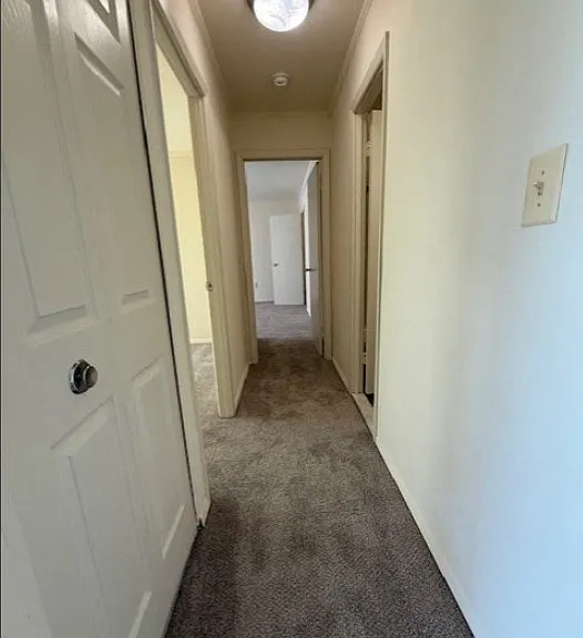 Park Place — Photo 49